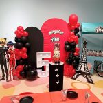 Party Room - Miraculous Ladybug- Small Room